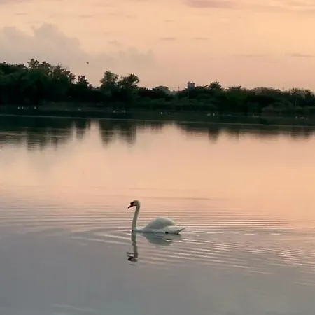 Wellness Palic